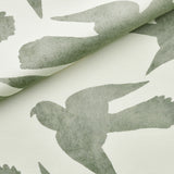 Birds Shadow  生地  グレー