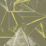 BONE 生地 イエローグリーン