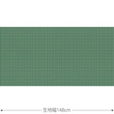 Canvas 生地 グリーン