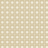 Canvas 生地 ベージュ