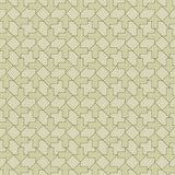 Arrow 生地 ライトイエローグリーン